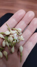 福东海 茉莉花苞100g  横县原产三伏晴天茉莉花茶干花蕾养生花茶泡水 实拍图