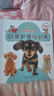 狗狗的日常护理与驯养 养狗,这一本就够了 狗狗训练教程 训狗书籍训狗教程训犬书训练狗狗的教程书  养狗指南新手养狗品种宠物 选择宠物狗狗书养狗指南 实拍图
