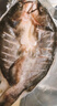 钓鱼记 斑点叉尾鮰鱼1斤-1.3斤 二去净重 冷冻 烤鱼红烧烤生鲜 鱼类海鲜 实拍图