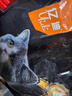 亿迪 猫粮幼猫成猫10斤全价国产布偶流浪猫蓝猫英短全阶段专用 实拍图