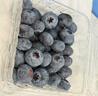 鲜级佳辽宁丹东蓝莓王【多地次日达】新鲜孕妇L25花香蓝莓礼盒怡颗蓝莓 4盒【100g/盒】品质升级-精品果 甄选大果 新鲜升级【单果16-18mm+】 实拍图