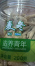 同仁堂品牌北京同仁堂四川麦冬200g泡养生茶冬麦东非野生中药材滋补品 实拍图
