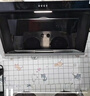 美的（Midea）抽吸排油烟机燃气灶 小户型烟灶套装家用侧吸油烟机 5.0火力燃气灶J30+Q330天然气【套装商品】 实拍图