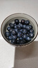 鲜级佳辽宁丹东蓝莓王【多地次日达】新鲜孕妇L25花香蓝莓礼盒怡颗蓝莓 4盒【100g/盒】品质升级-精品果 人工挑选 精品大果【单果14-16mm+】 实拍图