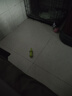普安特狗狗幼犬羊奶粉进口奶源宠物速溶防拉稀0乳糖补营养乳铁蛋白 实拍图