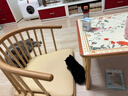 卫仕猫用A2亲和配方羊奶粉200g 猫咪羊奶粉幼猫哺乳期速补营养品 实拍图