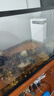 森森龟缸过滤器低水位鱼缸过滤泵XN-600过滤基础款 10W 实拍图