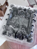 京鲜生 云南蓝莓 4盒18mm+装 125g/盒 生鲜水果 源头直发 包邮 实拍图