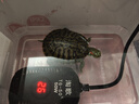 淘歌乌龟加热棒50W鱼缸加热棒迷你自动恒温加热器低水位3.8cm 实拍图