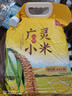 一禾谷香 山西黄小米 新碾新米广灵农家旱作杂粮油小米粥月子米小黄米 广灵黄小米（密封口）2.5kg*1袋 实拍图