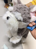 澳贝（auby）AI智能对话机器人毛绒玩具小甜狗deepseek男女孩周岁生日礼物1-6 实拍图