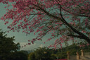 松下S5M2（20-60mm F3.5-5.6）（Panasonic）S5二代 全画幅微单相机 约2420万有效像素 新相位混合对焦 实拍图
