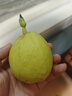 京鲜生 新疆库尔勒香梨 净重10斤 特级 单果120g以上 生鲜水果 实拍图