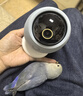 华为智选 800万摄像头监控器360度无死角带夜视全景手机远程语音通话海雀室内家庭用婴儿宝宝看护器雀蛋Pro 实拍图