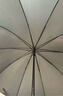 天堂 长柄加大雨伞半自动黑胶直杆伞晴雨伞太阳伞70*10骨 碳黑色 实拍图