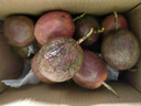 京鲜生 广西紫皮百香果 2斤装 约13-15粒 单果约70g 酸甜风味 生鲜水果 实拍图