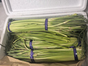 京鲜生山东红帽蒜苔净重5斤粗细适中色泽饱满蒜薹 源头直发 实拍图