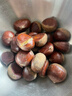 丹东板栗新鲜当季东北特产野生锥栗大果甜糯毛栗子现摘整箱包邮 单果22mm+ 250g 实拍图