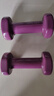 迪卡侬哑铃女男儿童小哑铃一对跳操瘦手臂1.5千克712790 实拍图