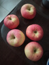 京地达洛川苹果水果陕西红富士节日送礼净重4.5斤单果80mm+源头直发包邮 实拍图