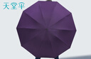 天堂 双人晴雨伞三折 晴雨伞三折10骨超大加固黑胶防晒伞 暗夜紫 实拍图