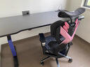 骁骑XD1pro电竞桌双电机电动升降国家补贴办公桌子家用电脑桌卧室书桌 实拍图