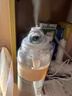 AMMFAITH加湿器空气净化器一体鼻炎卧家用轻音儿童母婴专用香薰机 办公室桌面大容量车载静音床头usb加湿器 充电款【纳米大喷雾+断电保护+温馨暖灯】 实拍图