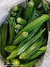 格沃斯（GEWOSI）秋葵鲜新羊角豆新货应季鲜秋葵现摘新鲜黄秋葵 0g 早上采摘下午发 3伒【60-90根】包嫩 实拍图