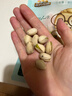 三只松鼠开心果250g/袋 无漂白每日坚果炒货休闲零食地方特产 实拍图