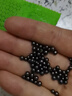 绿之源 3200g吸引力纳米矿晶富孔矿物吸附剂 家用吸去除甲醛清除剂 实拍图