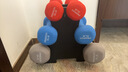 PROIRON普力艾 浸塑磨砂哑铃男女士健身哑铃套装家用哑铃3/5/8磅+哑铃架 实拍图