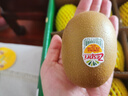 佳沛（zespri）新西兰 阳光金奇异果12粒礼盒特大果单果约122-146g 猕猴桃 水果 实拍图