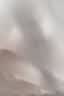 啄木鸟（TUCANO）长袖衬衫女士春秋纯色抗皱免烫衬衣商务休闲正装上衣女装 白色2XL 实拍图