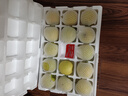 京地达梨砀山皇冠梨净重9斤单果250g青皮皇冠梨新鲜水果源头直发包邮 实拍图