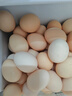 京鲜生富硒鲜鸡蛋30枚 3斤 源头直发 实拍图