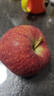 京鲜生 甘肃天水花牛苹果 又大又红 净重10斤 单果240g以上 新鲜水果  实拍图
