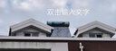 四季沐歌（MICOE）太阳能热水器国补 家用光电两用自动上水 2025款免费升级230L 飞天系列WIFI款 以旧换新  实拍图
