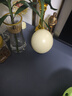 楚鄂云数 新鲜鸵鸟蛋大号鸵鸟蛋礼盒装装 商务春节送礼佳品端午节撞蛋送礼 2-2.4斤/个(礼盒装带底座开蛋器) 实拍图