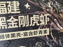 鲜京采 2025福建活冻黑虎虾 净重3斤 2030规格 30-45只/盒 特大号 实拍图