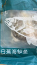 钓鱼记开背海鲈鱼1斤-1.3斤 三去净重 冷冻 生鲜 鱼类 海鲜水产 实拍图
