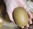 佳沛（zespri）新西兰  阳光金奇异果10粒礼盒巨大果单果约144-175g 水果 猕猴桃 实拍图
