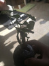 竹芋类盆栽花卉好养耐热粉公主植物自动吸水盆懒人绿植花卉 天竺葵冠幅约10CM高约10CM 原盆原土/盆径7*7cm送肥料 实拍图