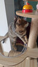 唐米吉吉【豪华升级】猫爬架猫窝猫树玩睡一体猫架猫抓柱家用不占地太空舱 【130cm太空舱木屋款】80%人选择 实拍图