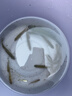 小凤仙鱼漂套装高灵敏加粗醒目空心尾近视老人三支装鲫鱼漂野钓黑坑浮漂 实拍图