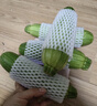新鲜西葫芦角瓜新鲜蔬菜三月瓜 新鲜西葫芦 3斤 畅销装 实拍图