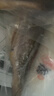 1号会员店（One's Member）零添加保水剂白蕉三去海鲈鱼 1000g（500g*2） 海鱼 海鲜水产 实拍图
