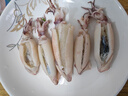 龙味福海兔子满籽笔管鱼鲜活熟冻海鲜籽乌章鱼新鲜墨鱼仔小鱿鱼乌贼 2斤(净重） (固形物≥50%) 满籽海兔子 实拍图