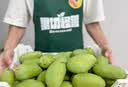 捌依依围裙防水防油餐饮专用定制logo厨房家用烘焙男女通用工作服新款 防水肩带可调节【绿色】 实拍图