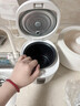 LOTOR电炖锅大容量全自动炖汤煲汤煮粥神器隔水燕窝炖盅1-2人迷你陶瓷宝宝婴儿辅食熬粥专用锅 单胆标准款 2.5L 实拍图