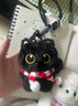 黑猫玩偶毛绒公仔挂件ins可爱猫咪包包挂饰情侣礼物送女朋友礼物 红白围巾+黑猫【升级双扣挂绳】 会吱吱叫【10厘米左右】 实拍图